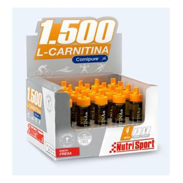 L Carnitina 1500 Fresa 20Amp