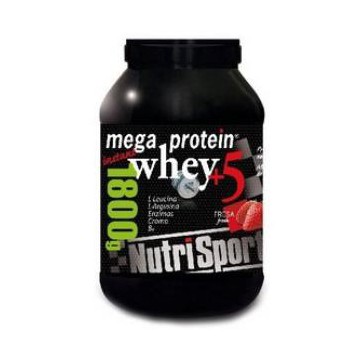 Mega Protein 5 Whey Fresa...