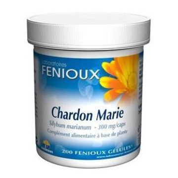 Cardo Mariano 200Cap.