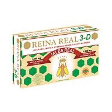 Reina Real 3 Edad 20Amp