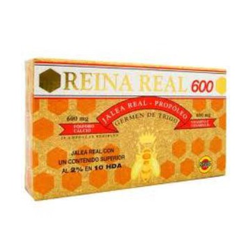 Reina Real 600Mg. 20Amp.