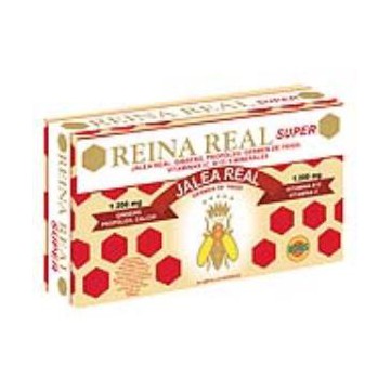 Reina Real Super 20Amp