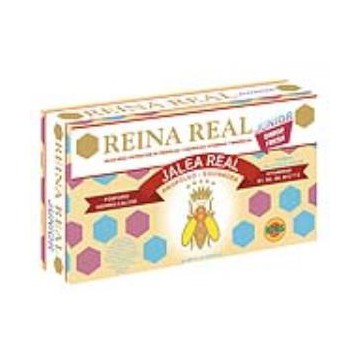 Reina Real Junior 20Amp.
