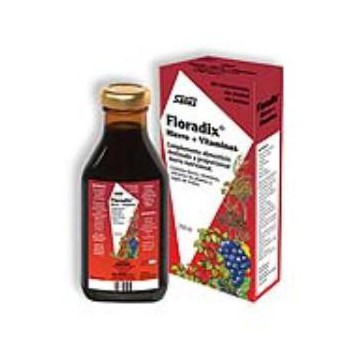 Floradix Hierro 500Ml