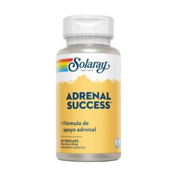 Adrenal Success 60Cap.