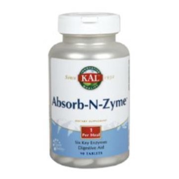 Absorb-N-Zyme 90Comp.