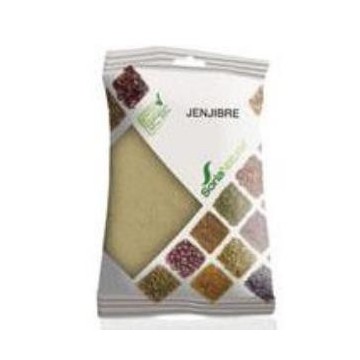 Jengibre Polvo Bolsa 75Gr.
