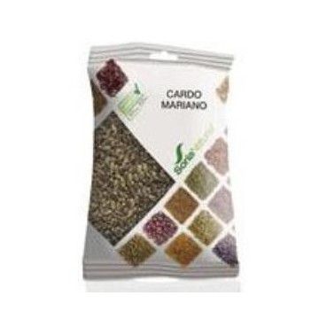 Cardo Mariano Semillas...