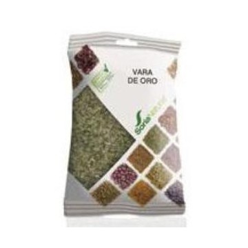 Vara De Oro (Solidago)...