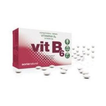 Retard Vitamina B6 48Comp.