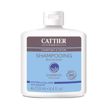 Champu Anticaspa (Sauce Y...