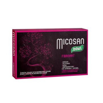 Micosan Fibroart 40Cap.