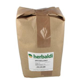 Hierba Grosellero Negro 1Kg.**