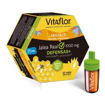 Vitaflor Defensas Echinacea...