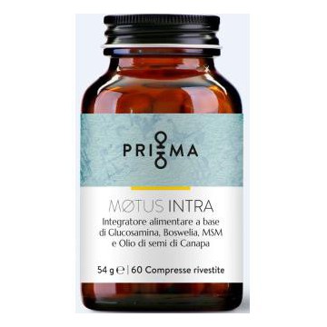 Motus Intra 60Comp.