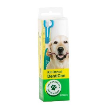 Kit Dental Cepillo+Pasta...