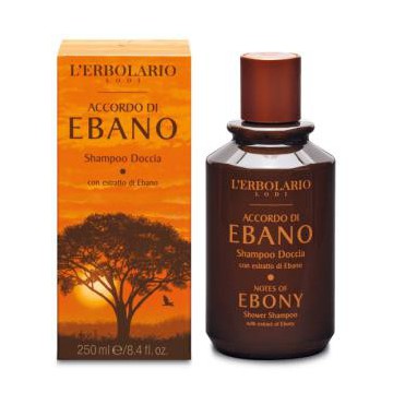 Accordo Ebano Champu Ducha...